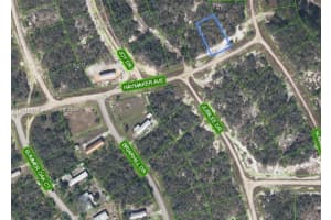 496 Haymaker Ave Lake Placid, FL 33852 - MLS#A11931959