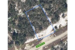 496 Haymaker Ave Lake Placid, FL 33852 - MLS#A11931959