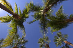 7155 Miami Lakes Dr APT P4, Miami Lakes, FL 33014, - MLS#A11932388