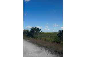 Unincorporated, Unincorporated, Homestead, FL 33035 - MLS#A11932434