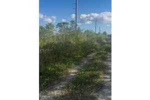 Unincorporated, Unincorporated, Homestead, FL 33035 - MLS#A11932434