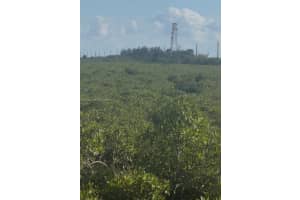 Unincorporated, Unincorporated, Homestead, FL 33035 - MLS#A11932434