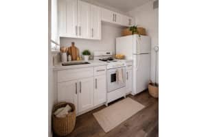 251 Hibiscus Dr #2, Miami Springs, FL 33166, - MLS#A11933712