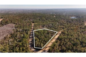 0 Alene Dr Other, FL 32420 - MLS#A11934160