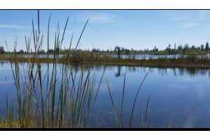 201 Ocean Park Dr Lehigh Acres, FL 33972 - MLS#A11934677