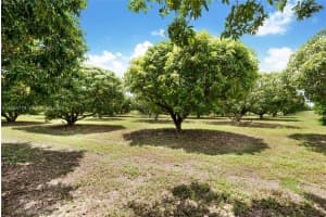 206 Sw Street Between 137 Ave & 139 Ave Miami, FL 33177 - MLS#A11934779