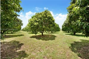 206 Sw Street Between 137 Ave & 139 Ave Miami, FL 33177 - MLS#A11934779