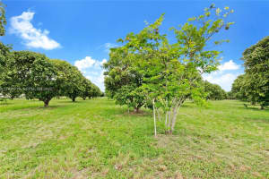 206 Sw Street Between 137 Ave & 139 Ave Miami, FL 33177 - MLS#A11934779