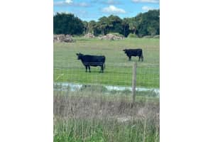  Nw 72 Ave Okeechobee, FL 34972 - MLS#A11935255