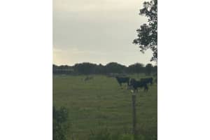  Nw 72 Ave Okeechobee, FL 34972 - MLS#A11935255