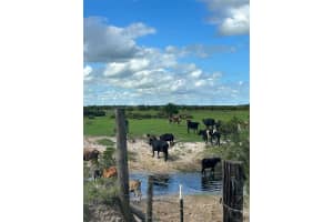  Nw 72 Ave Okeechobee, FL 34972 - MLS#A11935255