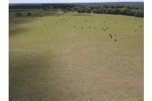 6918 Sw Miami Ave Other, FL 34266 - MLS#A11935938