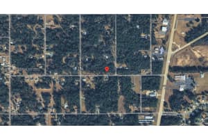 No Street Dunnellon, FL 34431 - MLS#A11936160