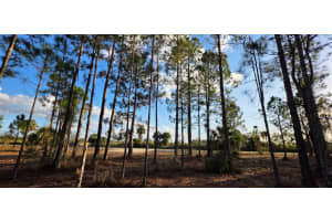 17923 Nw 298 St Okeechobee, FL 34972 - MLS#A11936248