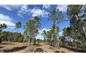 17975 Nw 298 St Okeechobee, FL 34972 - MLS#A11936318