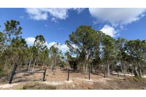 17975 Nw 298 St Okeechobee, FL 34972 - MLS#A11936318