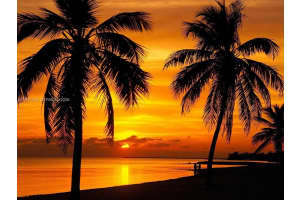 832 Dawhert Ave S Lehigh Acres, FL 33974 - MLS#A11937318