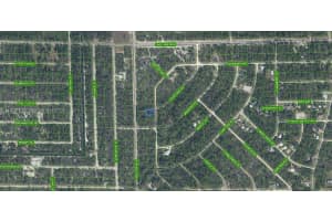 3292 Gossamer Avenue Lake Placid, FL 33852 - MLS#A11937738