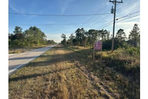 410 Columbus Blvd Lehigh Acres, FL 33974 - MLS#A11941331