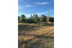 412 Columbus Blvd Lehigh Acres, FL 33974 - MLS#A11941370