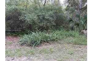 0 St Benedict Dr Dunnellon, FL 34432 - MLS#A11942987