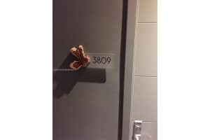 1010 Brickell Ave 3809 Miami, FL 33131 - MLS#A11946229