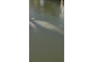 11 Flamingo Rd Key Largo, FL 33037 - MLS#A11947618