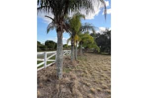 530 N Datil St. Clewiston, FL 33440 - MLS#A11947712