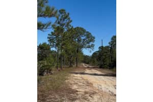 1846 Nolana Ave Sebring, FL 33875 - MLS#A11947722