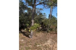 1846 Nolana Ave Sebring, FL 33875 - MLS#A11947722