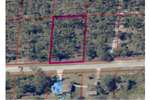 1407 Sheldon Ave Lehigh Acres, FL 33972 - MLS#A11947886