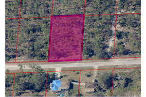 1407 Sheldon Ave Lehigh Acres, FL 33972 - MLS#A11947886