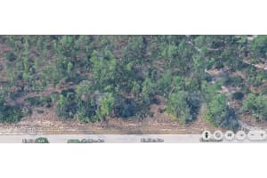 1407 Sheldon Ave Lehigh Acres, FL 33972 - MLS#A11947886