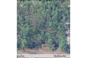 1407 Sheldon Ave Lehigh Acres, FL 33972 - MLS#A11947886