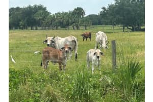 27325 Nw 72 Okeechobee, FL 34972 - MLS#A11949262