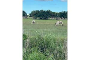 27325 Nw 72 Okeechobee, FL 34972 - MLS#A11949262