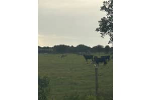 27325 Nw 72 Okeechobee, FL 34972 - MLS#A11949262