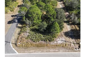 6994 Mexican Hat Sebring, FL 33872 - MLS#A11949532