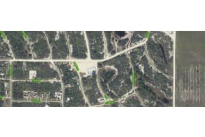 132 Joy Drive Lake Placid, FL 33852 - MLS#A11950129