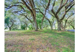 9451 Live Oak Pl 102 Davie, FL 33324 - MLS#A11950502