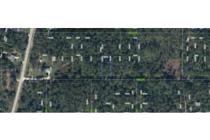 1412 Camellia Street Lake Placid, FL 33852 - MLS#A11951470