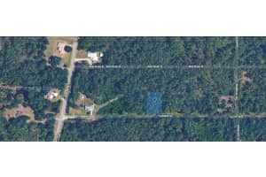 1412 Camellia Street Lake Placid, FL 33852 - MLS#A11951470