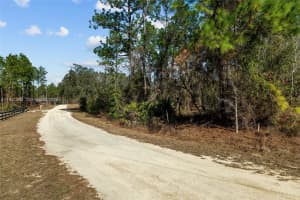Tbd Sw 128th Terrace Road Ocala, FL 34481 - MLS#A11951565