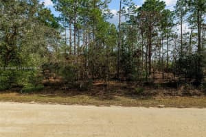 Tbd Sw 128th Terrace Road Ocala, FL 34481 - MLS#A11951565