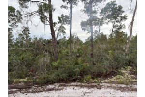 5932 Canopy Rd Sebring, FL 33875 - MLS#A11953427