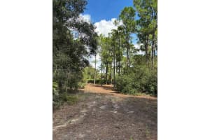 1980 Al Don Farming Rd Clewiston, FL 33440 - MLS#A11953638