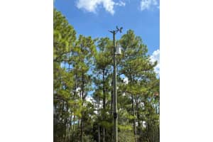 1980 Al Don Farming Rd Clewiston, FL 33440 - MLS#A11953638