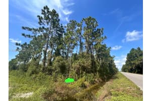 966 Nw Challenger Lake Placid, FL 33852 - MLS#A11954486