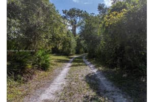 11330 Camp Mack Rd Lake Wales, FL 33898 - MLS#A11955155