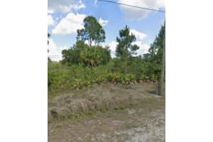 169 Thornton Ave S Lehigh Acres, FL 33974 - MLS#A11955502